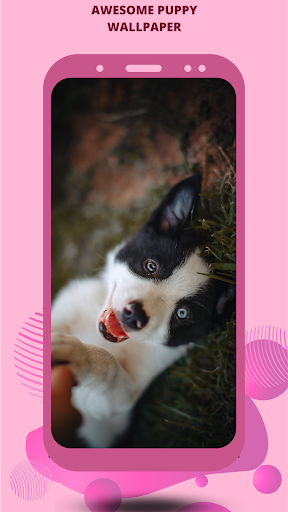 Download puppy dog wallpaper Free for Android - puppy dog wallpaper APK  Download 