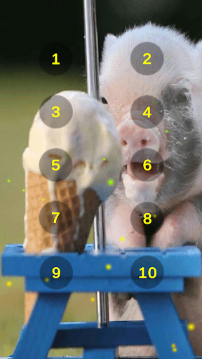 Pig Oink Livestock Soundboard Screen 2