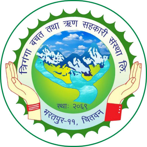 Shree Triganga mBank logo