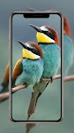 screenshot of Birds Wallpaper