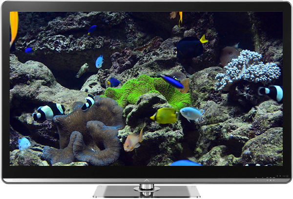 Aquariums on TV via Chromecast banner