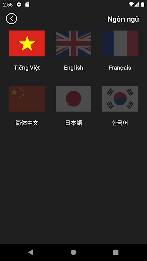 iMuseum VFA Screen 3