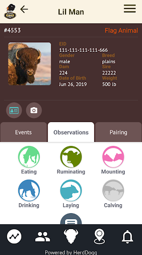 The Bison App Screen 3