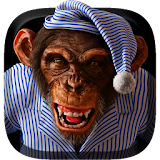 Funny Monkey 3D Live Wallpaper icon