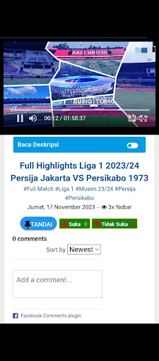 Liga Timnas Indonesia