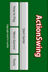 Action Swing For PC 2