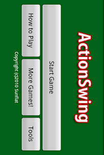 Action Swing For PC installation