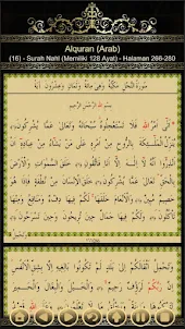 Al Quran Terjemahan Indonesia