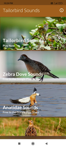 Android application Tailorbird Sounds screenshort