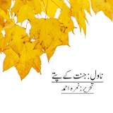 Jannat Kay Pattay Nimra urdu books Novels New icon