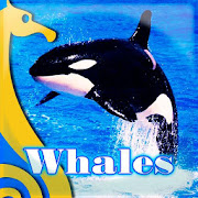 Whales