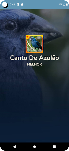 Canto De Papa Capim - Apps on Google Play