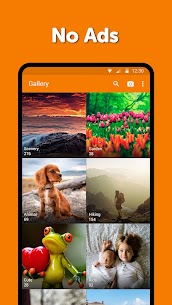 Simple Gallery Pro  Video  Photo Manager  Editor Apk Download 1