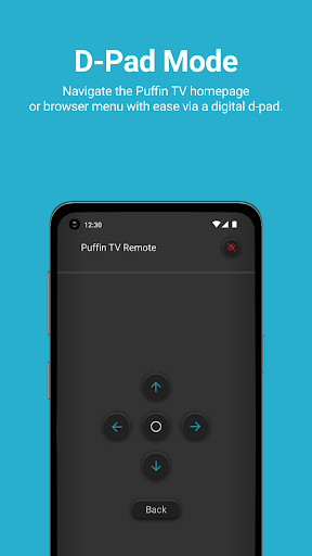 Screenshot of Puffin TV Remote