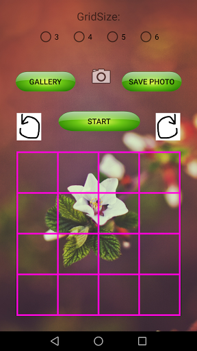 Puzzle Image Screen 2