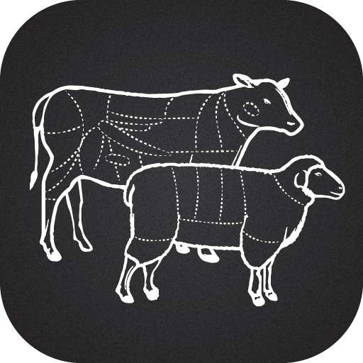 Meat Cuts  Icon