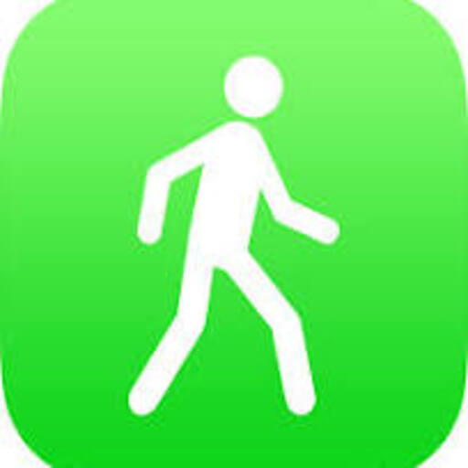 the pedometer logo