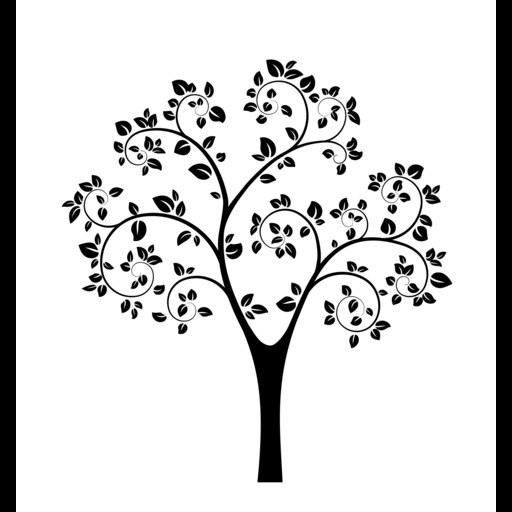 Kothay Paabo logo
