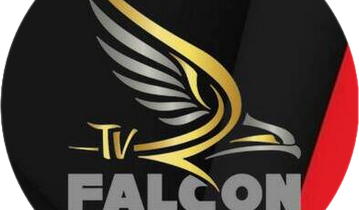 FALCON PRO IPTV & CODE (.apk) android → 76.7  MB 