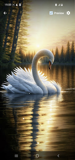 Swan Wallpaper Gallery Screen 2
