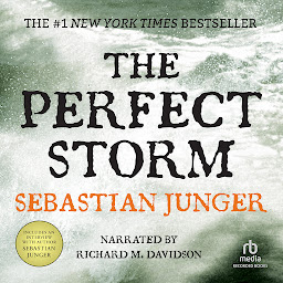 Simge resmi The Perfect Storm: A True Story of Men Against the Sea