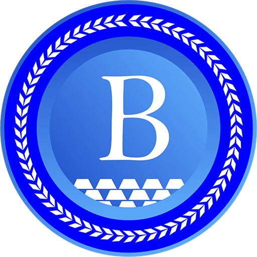 BLOPAY logo
