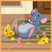 Punch Mouse : Catch the jeryy Mouse