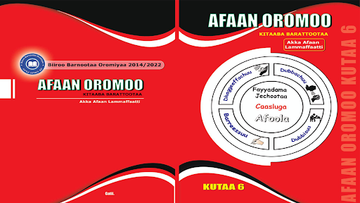 Afaan Oromoo Kutaa 6ffaa Screen 2