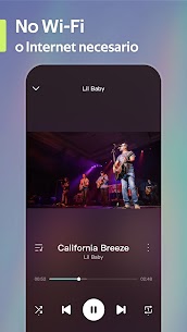 Offline Music Player- Weezer APK/MOD 3