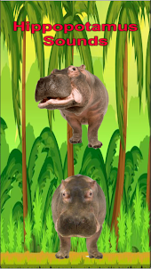 Hippopotamus Sound Game Sim 3d