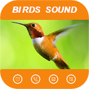 Latest Birds sound ringtone  - Birds Tweet Rington