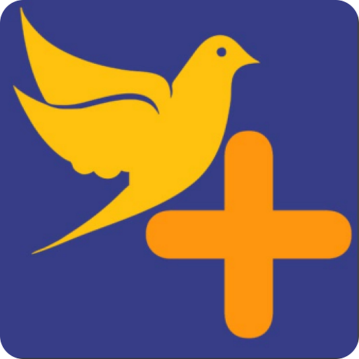 Paloma + logo