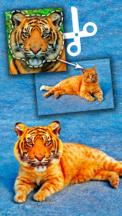 Cut Paste Photo Seamless Edit v33.2 MOD APK (Pro Unlocked/Full Features) Free For Android 3