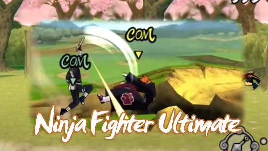 Maki Ninja Portable Fighter