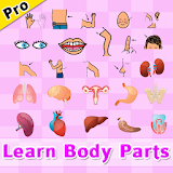 Learn Human Body Parts (Pro) icon