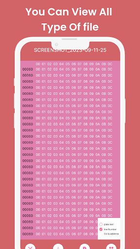 Bin File Viewer Screen 2