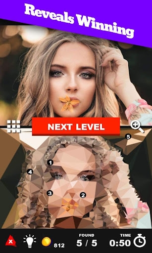 TriangulateFind the differences spot it free game