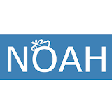 Noah Shoes icon