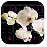 Pink Tulip Flower Theme icon