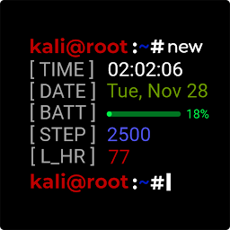 Terminal KaliLinux Watch face