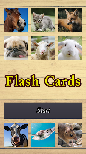 Android application Flash Cards screenshort