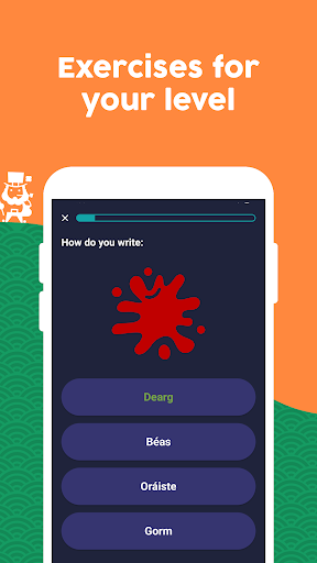Learn Irish - Beginners Screenshot