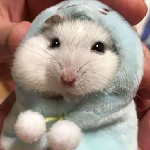 Hamster Gerbil Sounds logo