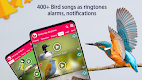 screenshot of Bird Songs: Ringtones