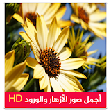 اجمل صور الازهار والورود HD icon