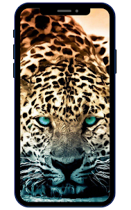 Fondos de pantalla de jaguar
