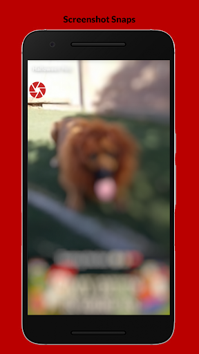 SnapScreenshot Tool Pro Screen 3