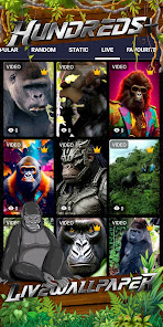 Screenshot 3 fondo de pantalla de gorila android