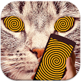 Cat Hypnosis Simulator icon