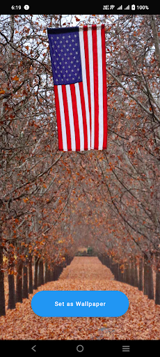 Android application America Wallpaper screenshort